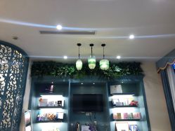 -静博士养生美容连锁