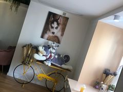 -Husky Go! 哈士奇体验馆·宠物咖啡厅狗咖