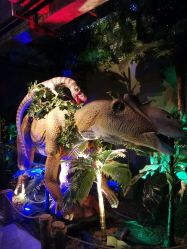 -恐龙探索乐园(磁器口店)