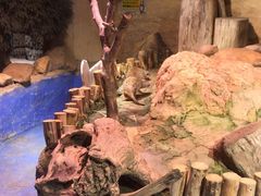 -正佳雨林生态植物园
