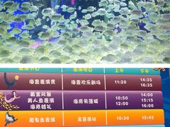 -北海海底世界