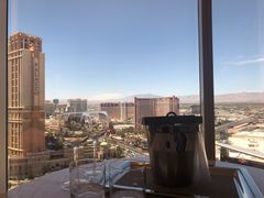 -拉斯维加斯永利酒店