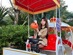 -灵玲国际马戏城