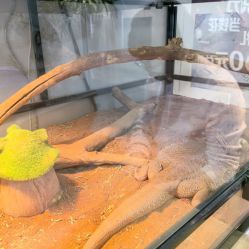 -飞雨言美容美发