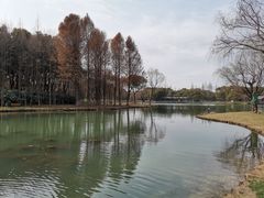 -新洲生态园