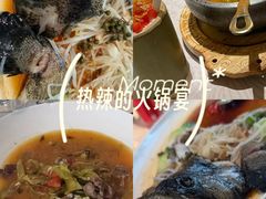 -维园悦谱·海派家常菜(乌鲁木齐南路店)