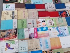 -桂林市花鸟市场