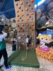 -卡通尼·Safari非洲探索乐园·生日会(金桥国际商业广场店)