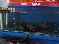 -新渔享海鲜餐厅(广海渔人码头店)