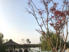 -苏州湾王焰温泉度假酒店