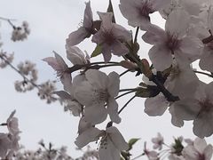 -新江湾城公园