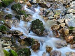 -牛背梁国家森林公园