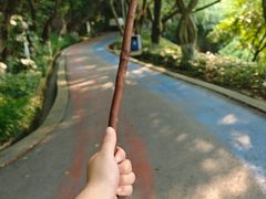 -翠屏公园