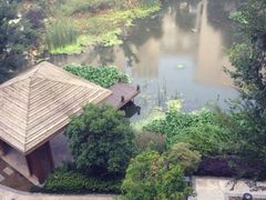 iphone_upload_pic-苏州香山国际大酒店