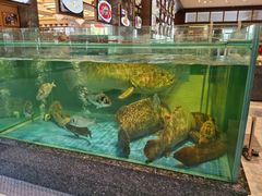 -聚福宝合苑食府(南头镇店)