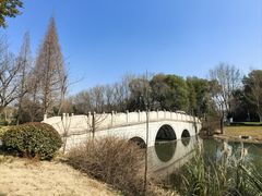 -昆山城市生态森林公园