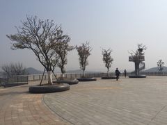 -羊山湖公园