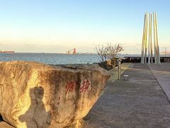 -上海滨江森林公园