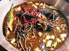 -姥家大锅台水库渔家