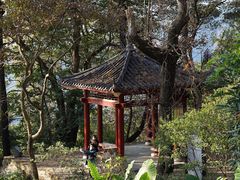 -广州市石门国家森林公园