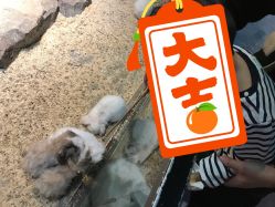 -酷嗒动物文化乐园(cutezoo西溪乐天城店)