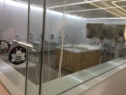 -海豚湾高端月子会所(黄浦店)