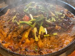 老板恋上鱼-老板恋上鱼(恒隆广场店)