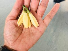 -绵阳南郊机场