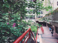 -香港大学