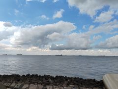 -上海滨江森林公园
