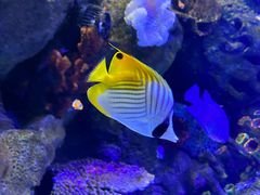 -沈阳海洋探索中心