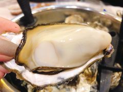 -爱蚝屋