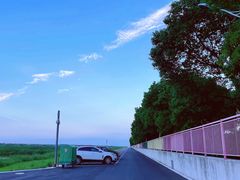 -碧海金沙