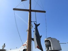 -中华人民共和国水准零点