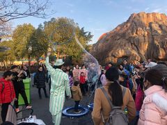 -锦江乐园舞狸花花游园会(夜场专享)