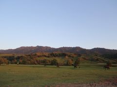 -新疆那拉提国家旅游度假区