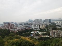 -福道