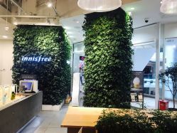-悦诗风吟innisfree