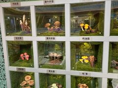 -芸山季·云南山珍菌火锅(南翔印象城MEGA店)