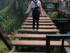 -梦幻奥陶纪景区