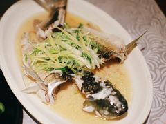 香葱淋鲈鱼-粤·向群饭店(龙津东路总店)