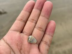 -宁波松兰山滨海旅游度假区