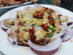 油泼扇贝-来之顺海鲜菜馆·青岛菜(栈桥店)