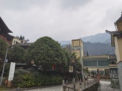 -虹都水岸酒店
