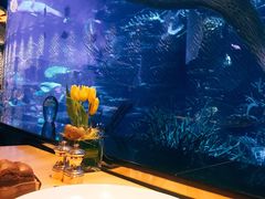 -迪拜帆船酒店海底餐厅