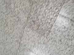 -麦当劳(龙阳路店)