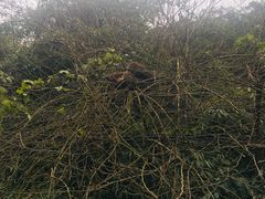 -西岭雪山大飞水景区