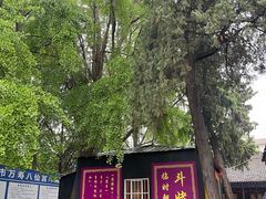 -万寿八仙宫