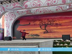 -荷兰花海