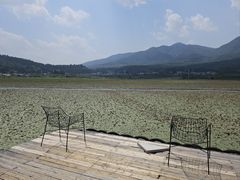 -腾冲北海湿地